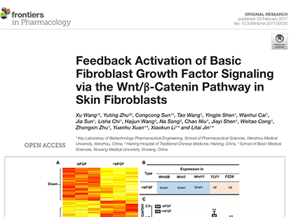 Wang X, et al. Feedback Activation of Basic Fibroblast Growth Factor Signaling via the Wnt/b-Catenin Pathway in Skin Fibroblasts. Front Pharmacol.?2017 Feb 3;8:32. (IF=4.4)