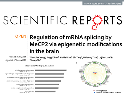 Cheng, T.-L. et al. Regulation of mRNA splicing by MeCP2 via epigenetic modifications in the brain. Sci Rep. Sci Rep.?2017 Feb 17;7:42790.? (IF=4.259)