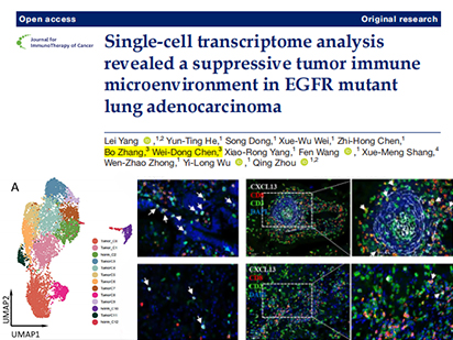 【IF=13.751】廣東省人民醫院肺癌研究所團隊與烈冰合作解析EGFR突變型肺腺癌免疫微環境