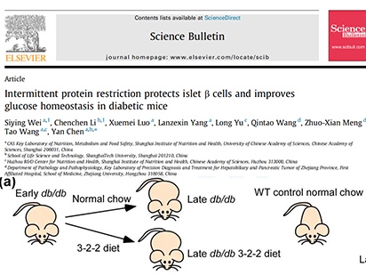 【IF=11.783】烈冰助力中科院課題組糖尿病飲食干預新療法研究
