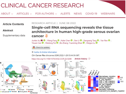 【烈冰助力CCR第二彈】單細胞測序揭示人類高級別漿液性卵巢癌的組織結構