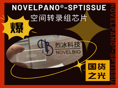 國產之光！烈冰智造成功開發空間轉錄組50μm級點陣芯片