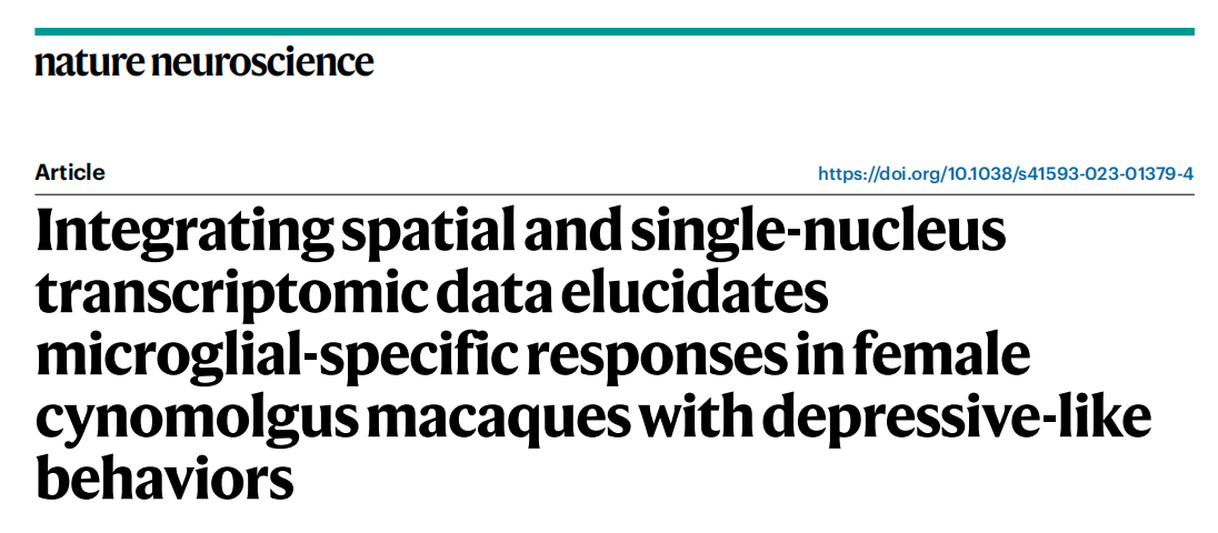 【烈冰助力】單細(xì)胞核測(cè)序+空間組學(xué)，烈冰生物助力重醫(yī)附一院神經(jīng)內(nèi)科團(tuán)隊(duì)解析抑郁行為發(fā)生新機(jī)制
