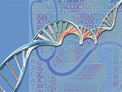 RNA-seq研究SS9-LysM元件在豬鏈球菌致病過程中的分子機制