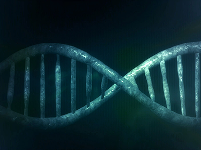 Zong J, et al. Evolution of the RNA-dependent RNA polymerase (RdRP) genes: Duplications and possible losses before and after the divergence of major eukaryotic groups. Gene.?2009 Nov 1;447(1):29-39. (IF=2.082)